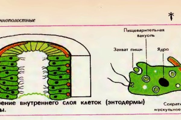 Кракен онлайн магазин