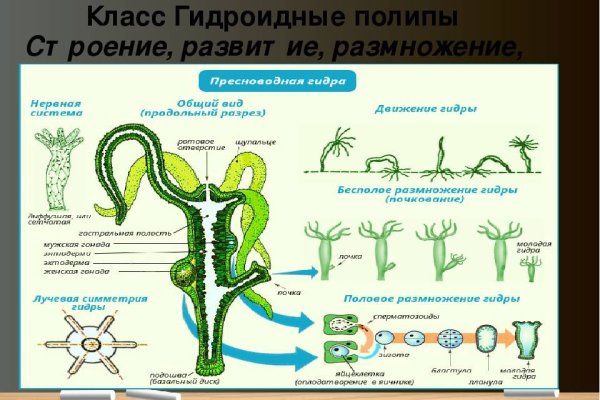 Ссылка кракен зеркало тор