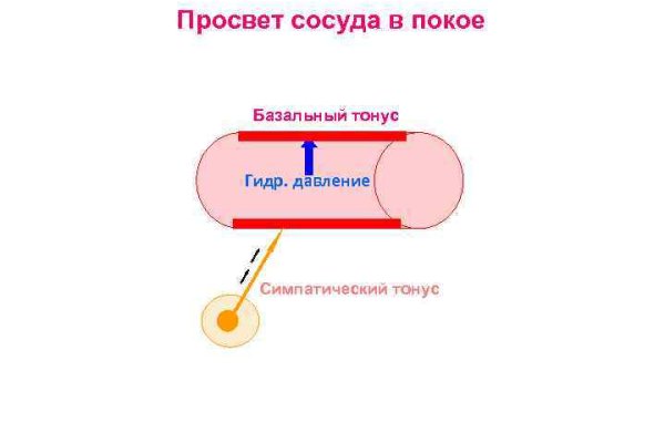 Войти в кракен